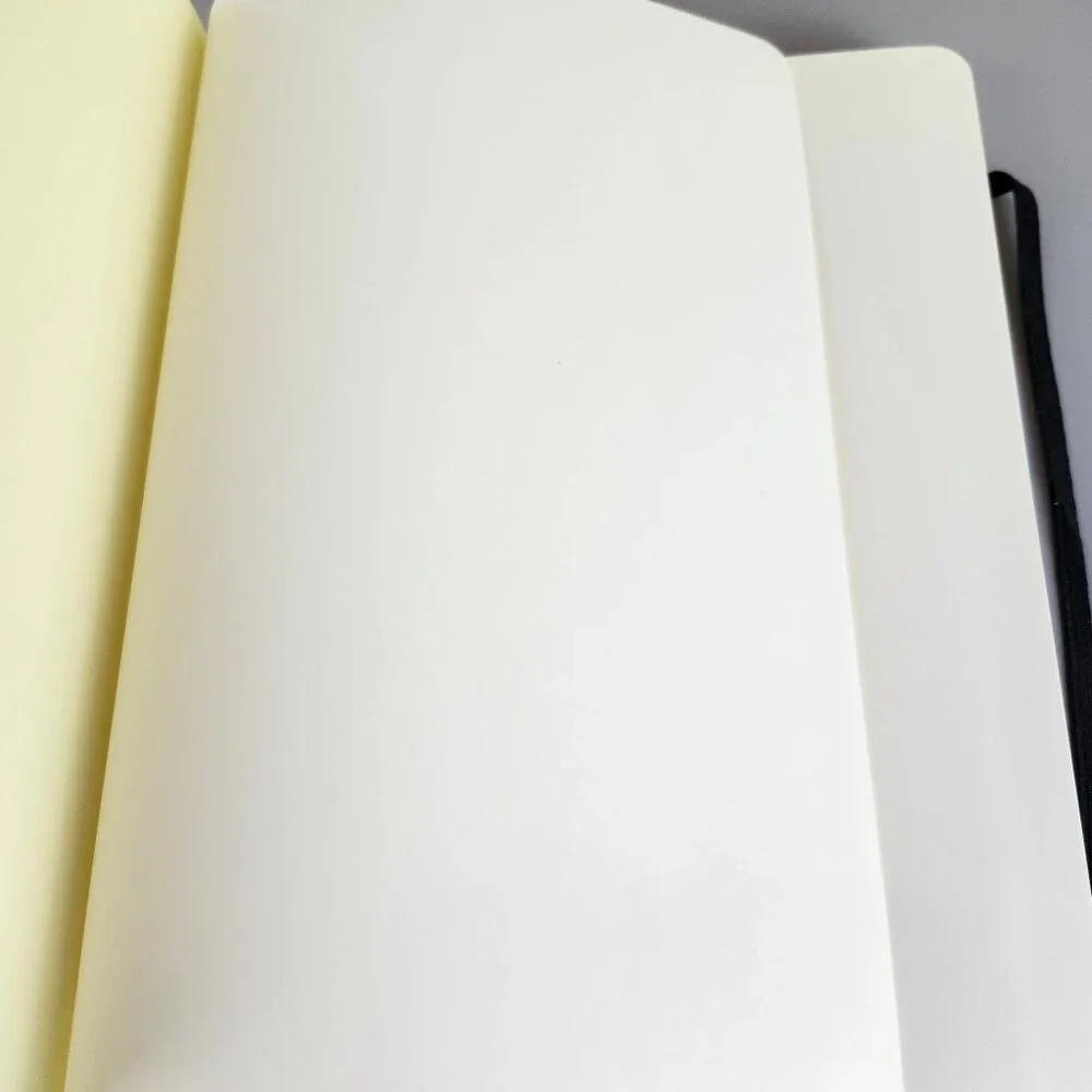 Picadilly journal book